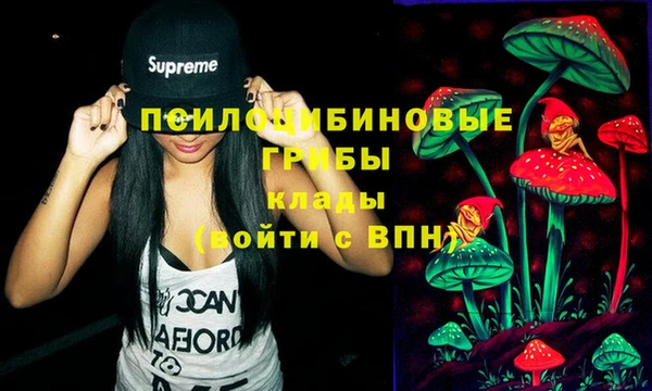 меф Нефтегорск