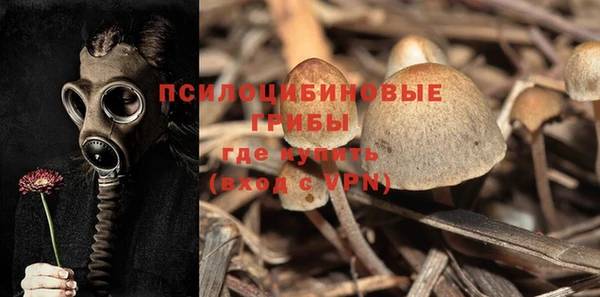 MESCALINE Нефтекумск
