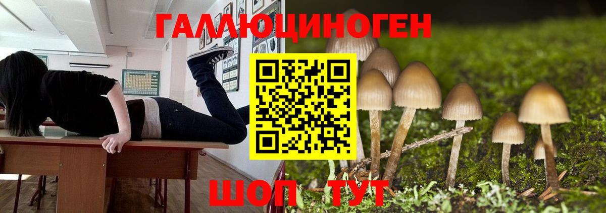 Галлюциногенные грибы прущие грибы  Вход с VPN  Набережные Челны  Галлюциногенные грибы Psilocybine cubensis 